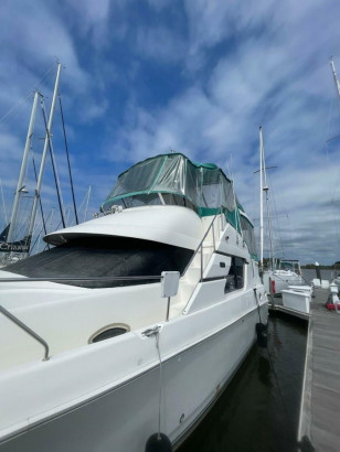 SCOTT FREE & GIGI TOO