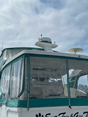 SCOTT FREE & GIGI TOO