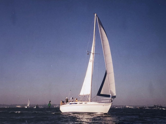 CATALINA 36