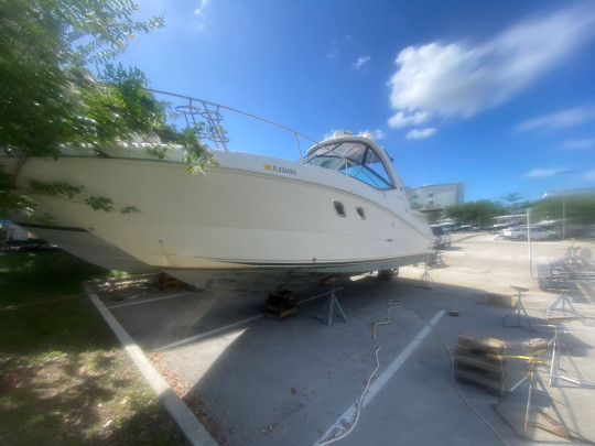 2009 SEA RAY 310 SUNDANCER 