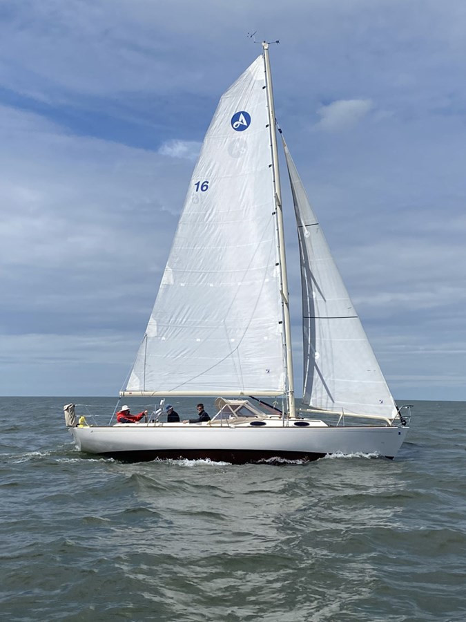 https://arconyachts.ams3.digitaloceanspaces.com/178705/conversions/large_4192287-optimize.jpg