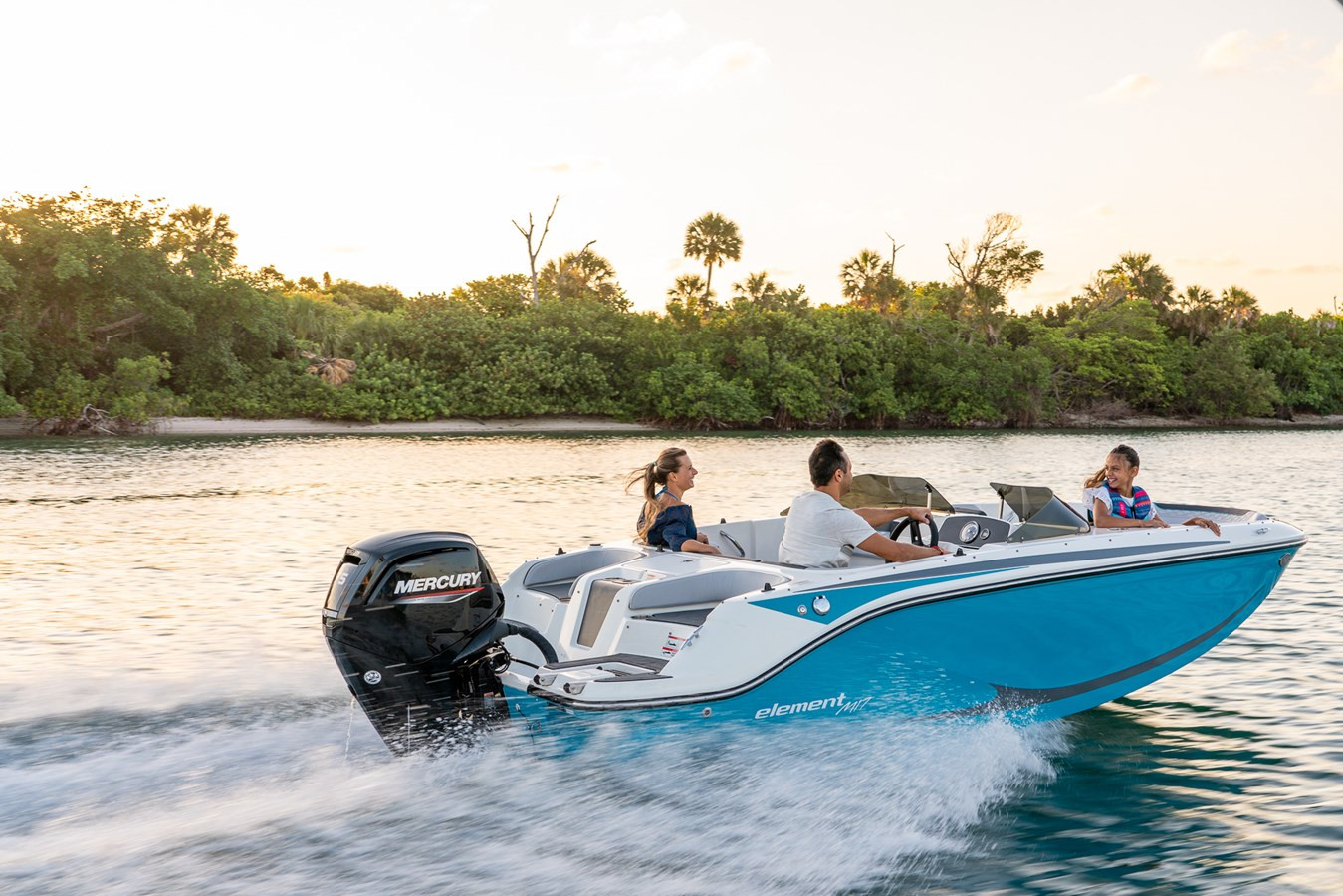 BAYLINER M17 