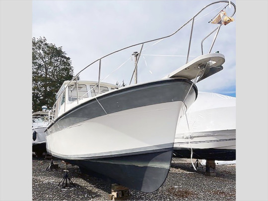 30' LUHRS 1989 ALURA