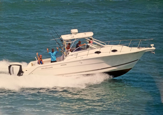 WELLCRAFT 290 COASTAL