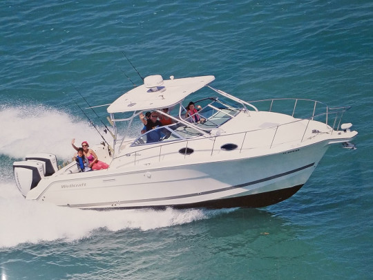 WELLCRAFT 290 COASTAL