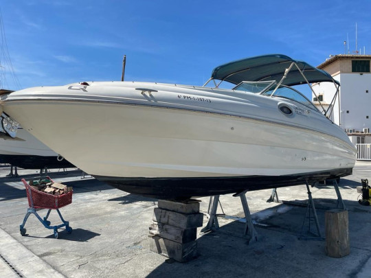 SEA RAY 240 SUNDECK