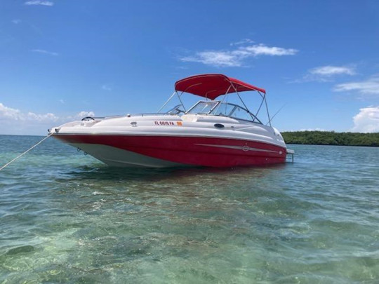 2010 STARCRAFT SUN DECK