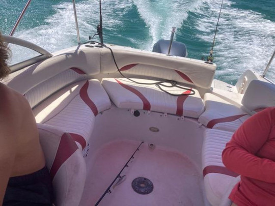 2010 STARCRAFT SUN DECK