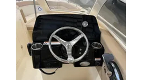 2022 SCOUT 240 DORADO