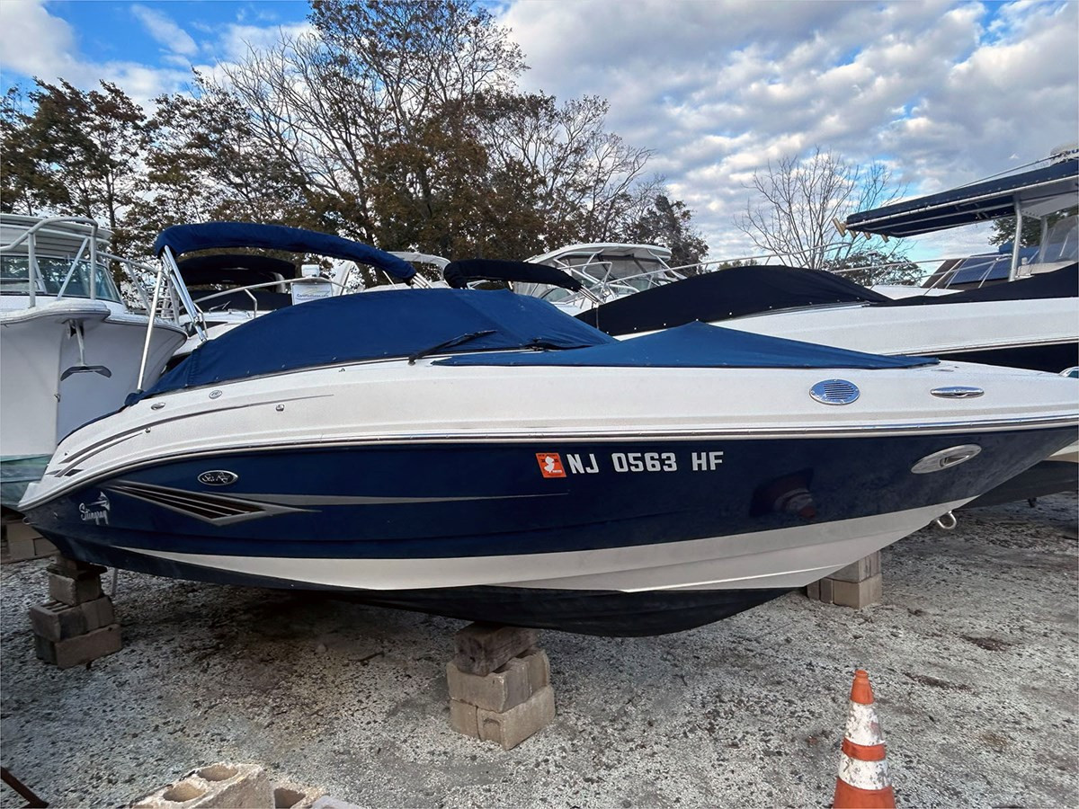 21' SEA RAY 2010 210 SELECT