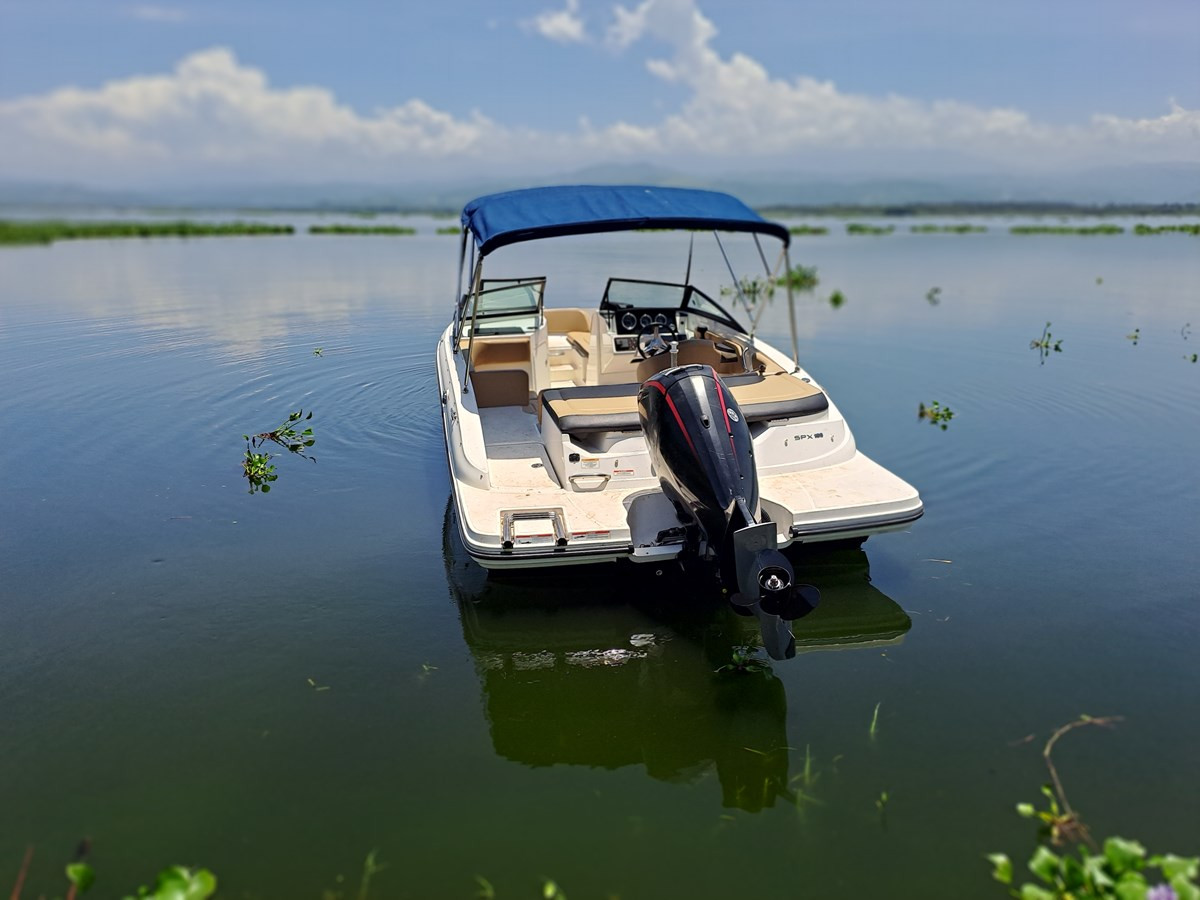 2021 SEA RAY 190 SPX OB @ACAPULCO