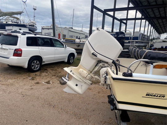 17 BOSTON WHALER 1976