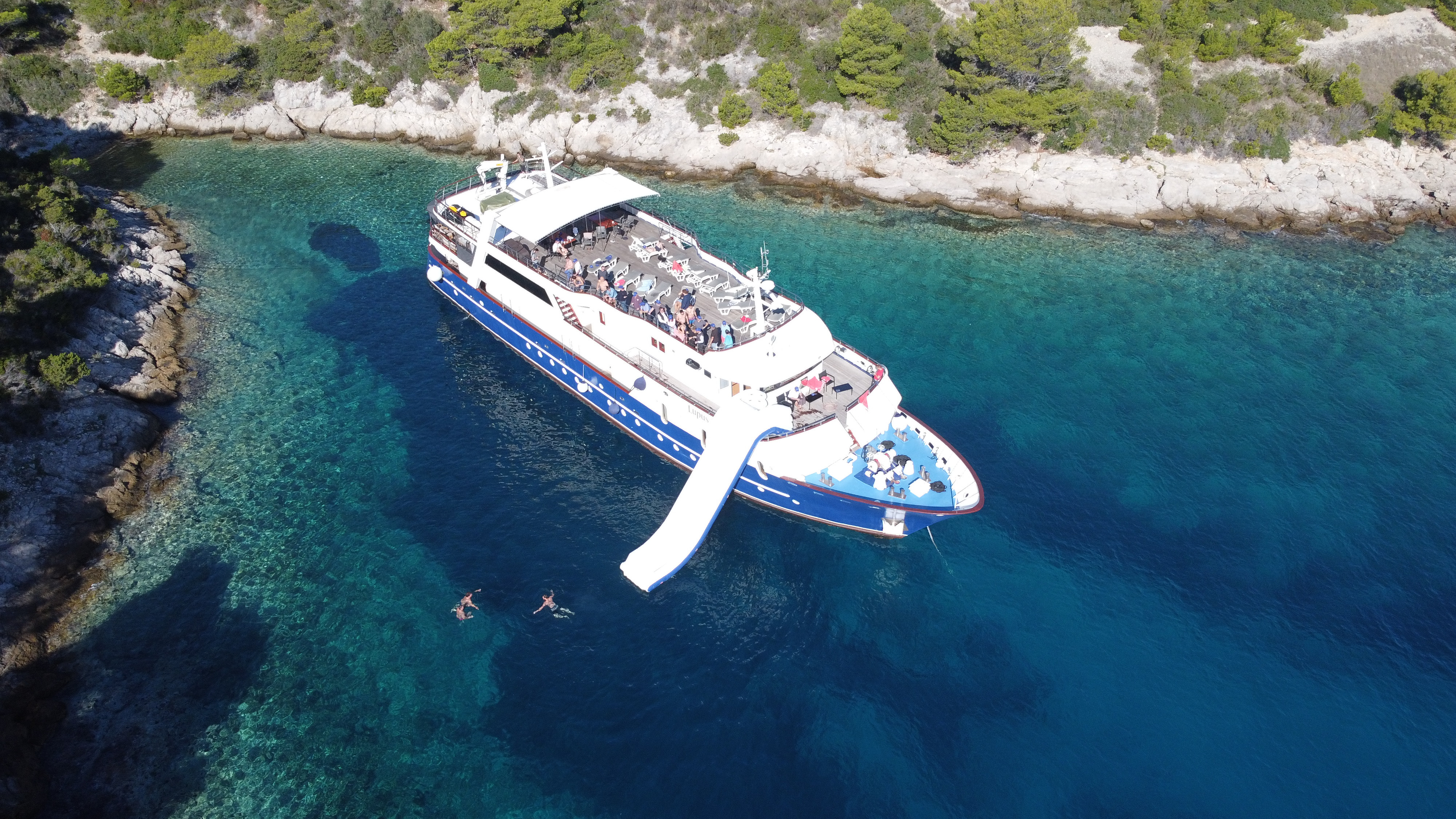 LUPUS MARE MINI CRUISER